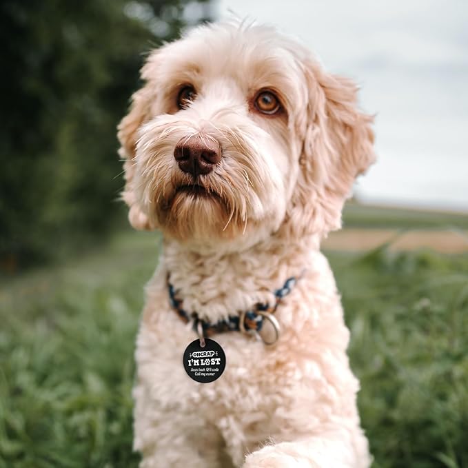 MYLUCKYTAG QR Code Stainless Steel Personalized Dog ID Tag, Engraved Collar Tag, Digital Pet Profile, Location Alert Email