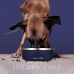 32 Oz Dog Bowl with Slow Feeder Insert Stainless Steel Pet Water Bowl for Medium & Large Breed Non Slip Rubber Base & Plastic Puzzle Feeder - Navy Blue