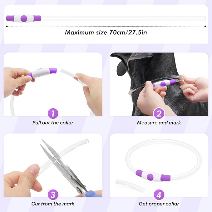 BSEEN Light Up Dog Collar, Rechargeable LED Puppy Collar Waterproof Glowing Pet Collar TPU Cuttable Lighted Dog Collar for Small Medium Large Dogs (Purple (70cm))