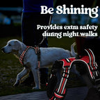 rabbitgoo Dog Harness Medium Sized, No Pull Pet Harness with 3 Buckles, Adjustable Soft Padded Vest with Control Handle, Walking Reflective Pet Vest for Medium Dogs, Red, M