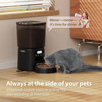 Automatic Cat Feeder,4L Timed Cat Dry Food Dispenser,Pet Feeder up to 6 Meals and 30 Portions per Day,10S Voice Record,Flexible Schedule Timer,Dual Power,Stainless Steel Bowl,for Cats and Small Dogs