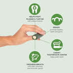 Ark Naturals Brushless Toothpaste, Dog Dental Chews for Extra Large Breeds, Freshens Breath, Unique Texture Helps Reduce Plaque & Tartar, 24oz (Pack of 6)