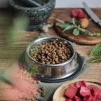 Flexzion Stainless Steel Dog Bowl No Mess Non Spill Dog Water Bowl Rubber Base Dog Bowls for Medium Sized Dog, Food and Water Dish, Pet Food Holder, 22 cm