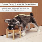 Ceramic Maze Dog Slow Feeder with Non-Slip Silicone Rim (& Bamboo Stand) – Heavy-Duty Stoneware Bowl with Puzzle Pattern for Bloating & Obesity Prevention (Raised-Red-M)