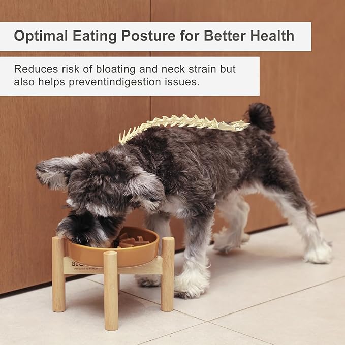 Ceramic Maze Dog Slow Feeder with Non-Slip Silicone Rim (& Bamboo Stand) – Heavy-Duty Stoneware Bowl with Puzzle Pattern for Bloating & Obesity Prevention (Raised-Red-M)