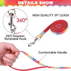 PAWCHIE Cat Harness with Leash and Collar Set - Escape Proof Adjustable Glow in The Dark Cat Harness for Kitty Outdoor Walking Multicolor