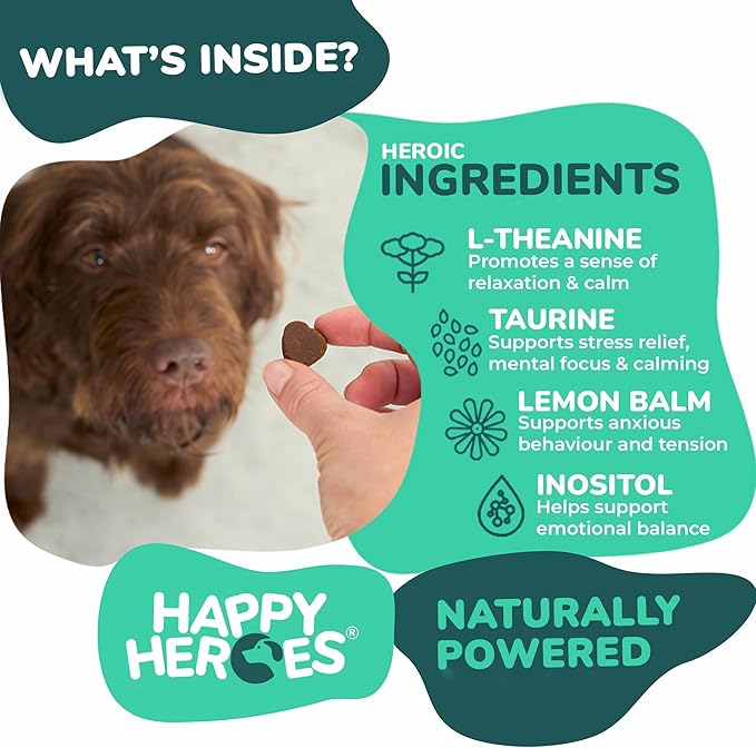 Clever Calming Chews for Dogs, 100% Natural Dog Supplement, For Anxiety Relief, Helps Stress, Fear, Hyperactivity, Reactivity, Beef Flavor Calming Dog Treats, Made in USA, 60 Soft Chews