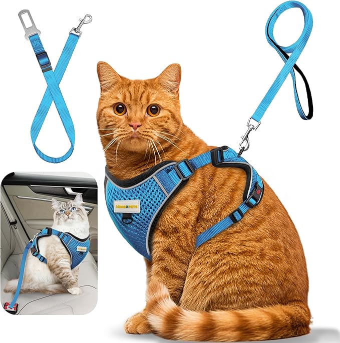 Cat Harness and Leash for Walking, Retractable Cat Harnesses and Leash Set Escape Proof, Breathable Soft Kitten Small Large Harness for Travel Training and Walking, Blue, M