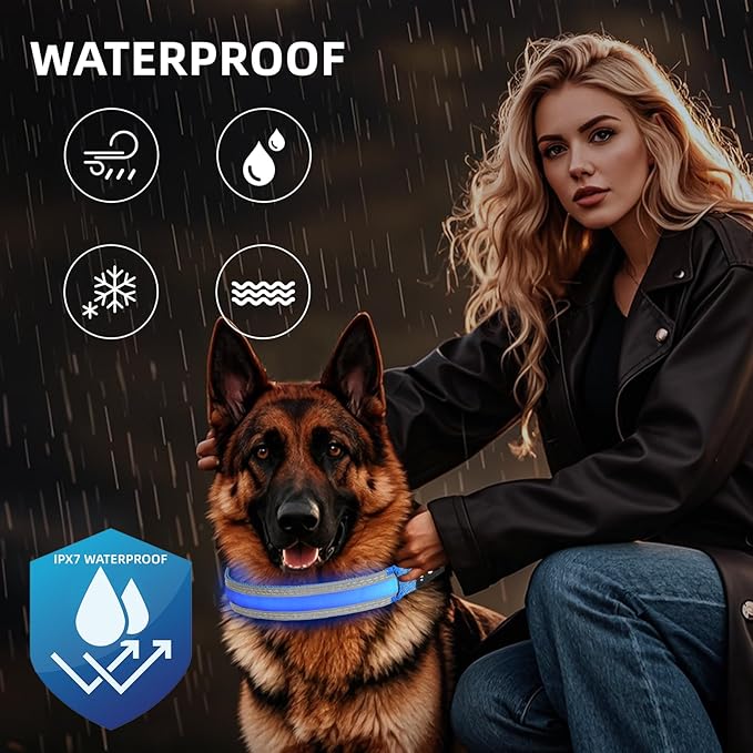PetIsay LED Dog Collar Metal Buckle - Heavy Duty Light up Collars - Rechargeable IP68 Waterproof - Lighted Dog Collar for Night Walking, Hiking, Camping (Medium, Blue)