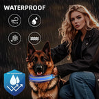 PetIsay LED Dog Collar Metal Buckle - Heavy Duty Light up Collars - Rechargeable IP68 Waterproof - Lighted Dog Collar for Night Walking, Hiking, Camping (Large, Blue)