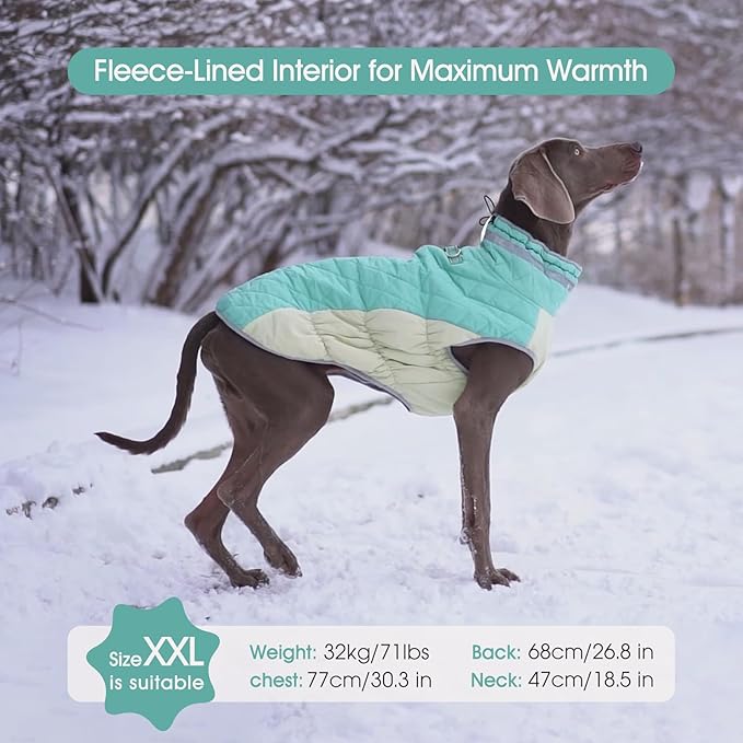 FUAMEY Dog Coat for Large Dogs,Waterproof Dog Winter Jacket with Harness Built in Puppy Cold Weather Coats Reflective Pet Vest with Zipper Warm Fleece Dogs Snowsuit Windproof Mint Green XXXL