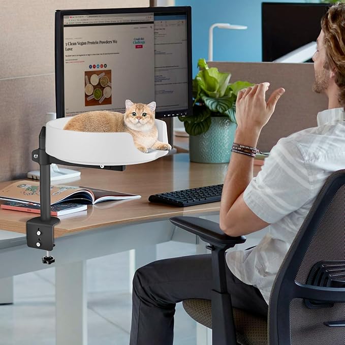 Cat Bed for Desk Elevated Cat House Over Desk Keeps Kitten Cat Close and Workspace Clear Cat Box with Pet Cushions (Straight Rod)