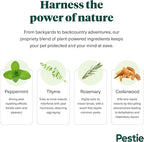 Pestie Flea & Tick Treatment for Pets, Plant-Powered Spray, Repels and Kills Fleas, Ticks and Mosquitos, Safe for Cats and Dogs, Easy Spray-On, Featuring Cedarwood, Peppermint, Thyme, and Rosemary