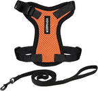 Voyager Escape-Proof Step-in Lock Cat Harness & 5ft Neoprene-Handle Leash Set All-Weather Mesh with Reflective Stitching for Small to Large Cats by Best Pet Supplies, Orange/Black Trim, XXS