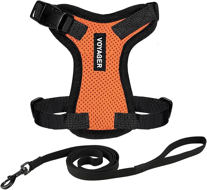Voyager Escape-Proof Step-in Lock Cat Harness & 5ft Neoprene-Handle Leash Set All-Weather Mesh with Reflective Stitching for Small to Large Cats by Best Pet Supplies, Orange/Black Trim, XXS