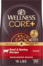 Wellness CORE+ (Formerly RawRev) Dry Dog Food with Freeze Dried Pieces, Wholesome Grains, High Protein, Natural, Beef & Barley Recipe, (18-Pound Bag)
