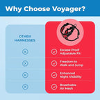 Voyager Escape-Proof Step-in Lock Cat Harness & 5ft Neoprene-Handle Leash Set All-Weather Mesh with Reflective Stitching for Small to Large Cats by Best Pet Supplies, Black Trim-Red (327), S