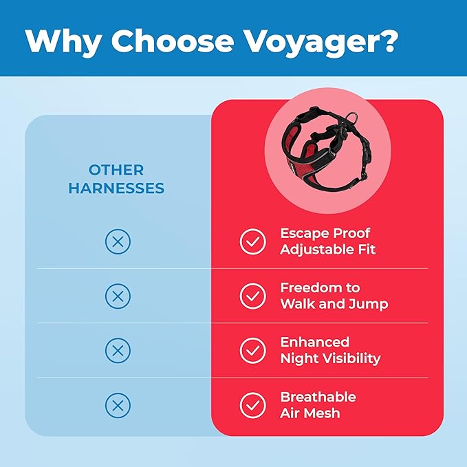 Voyager Escape-Proof Step-in Lock Cat Harness & 5ft Neoprene-Handle Leash Set All-Weather Mesh with Reflective Stitching for Small to Large Cats by Best Pet Supplies, Black Trim-Red (327), XS