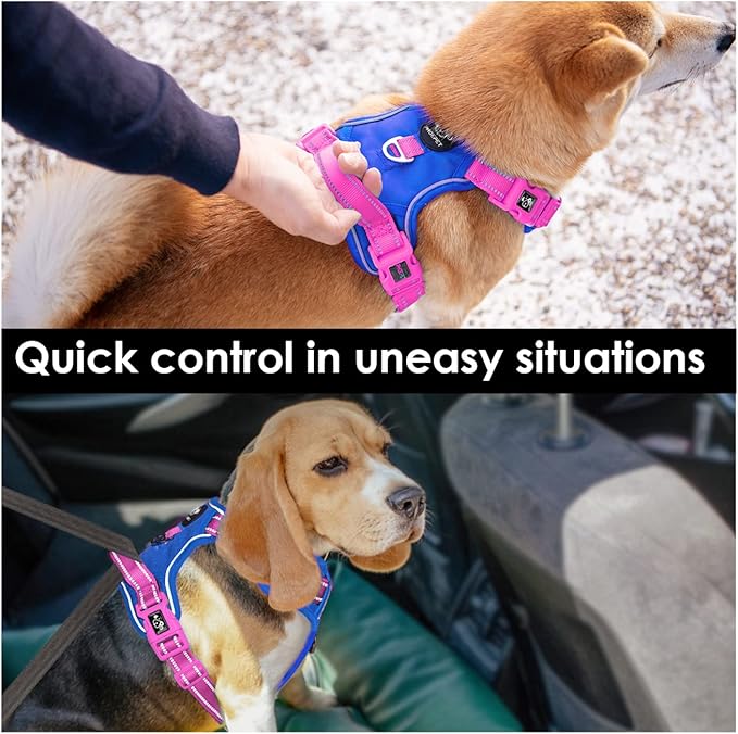 PHOEPET No Pull Dog Harness, Unique Colors Reflective Adjustable Dog Vest, with Soft Training Handle Metal Clips for Small Medium Large Dogs (Royal Blue Base & Pink Straps,L)