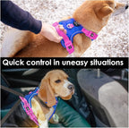 PHOEPET No Pull Dog Harness, Unique Colors Reflective Adjustable Dog Vest, with Soft Training Handle Metal Clips for Small Medium Large Dogs (Royal Blue Base & Pink Straps,S)