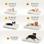 Dog Beds for Small Dogs, Flat Pet Beds with Removable Washable Cover, Pet Mat Cute Dog Crate Bed Thick Shredded Chopped Crate Foam & Anti Slip Bottom for Indoor, 23"x18"x3" Cream