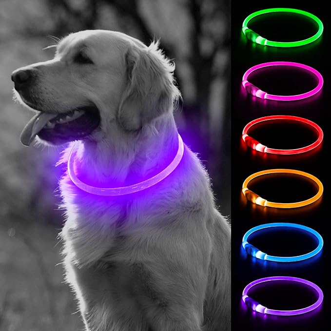 BSEEN Light Up Dog Collar, Rechargeable LED Puppy Collar Waterproof Glowing Pet Collar TPU Cuttable Lighted Dog Collar for Small Medium Large Dogs (Purple (70cm))