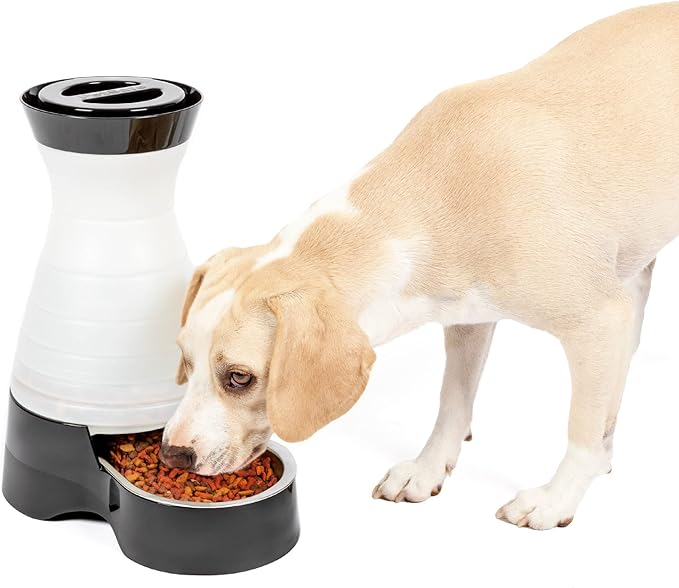 PetSafe Healthy Pet Food Station - Automatic Indoor Gravity Cat & Dog Feeder - Space-Saving Self Feeder - Easy to Clean - Medium - Up to 4 lb Kibble Capacity
