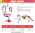 PAWCHIE Cat Harness with Leash and Collar Set - Escape Proof Adjustable Glow in The Dark Cat Harness for Kitty Outdoor Walking Multicolor