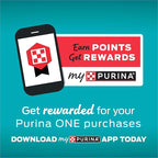 Purina ONE High Protein, Natural Dry Kitten Food, +Plus Healthy Kitten Formula - 16 lb. Bag
