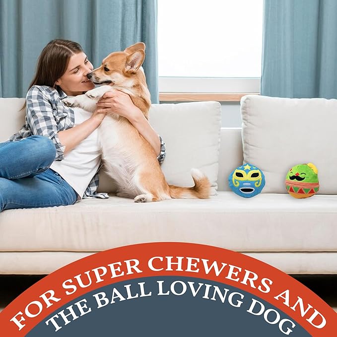 Flourish Pets 2 in 1 Multi-Layer Chew Toy for Active Dogs | Non-Toxic BPA Free Double Stitched Soft Fabric Exterior Dog Toys | Long-Lasting Dog Plush Toys – Cinco de Mayo 3.5" (2 Pack)