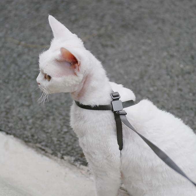 Cat Harness Escape-Proof Anti-Choking Adjustable Nylon Harness Lightweight with Anodized Aluminum Buckle, Ideal for Cats Outdoor Walking and Training, IDA Award (Blurple, M (17.7"))