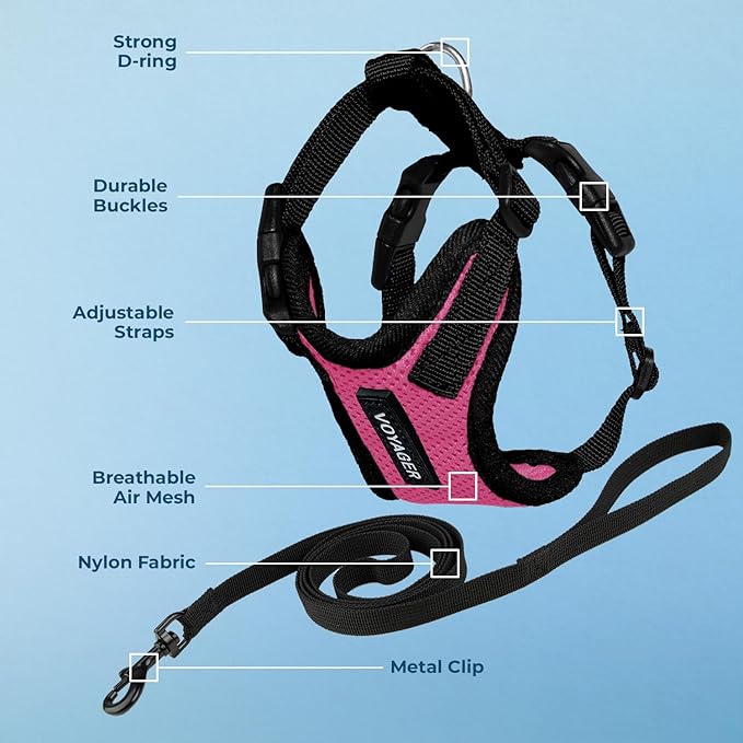 Voyager Escape-Proof Step-in Lock Cat Harness & 5ft Neoprene-Handle Leash Set All-Weather Mesh with Reflective Stitching for Small to Large Cats by Best Pet Supplies, Fuchsia/Black Trim, XS