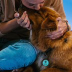 MYLUCKYTAG QR Code ESA Emotional Support Dog ID Tag - Pet Online Profile - Scan QR Receive Instant Pet Location Alert Email