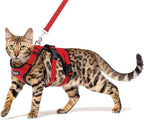 PUPTECK Cat Harness and Leash Set Escape Proof for Walking, Breathable Mash Vest Adjustable Harness for Cats Puppy Small Animals, Reflective at Night, Red Medium