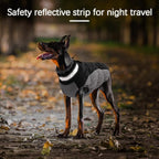 Dog Winter Jacket Cozy Reflective Waterproof Windproof Warm Pet Garment,Comfortable Cold Weather Fleece Apparel Outfits with Zipper Closure for Small Medium Large Dogs Puppy Walking,X-Small