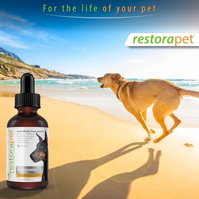 RestoraPet 1-Pack Dog & Cat Beef Liquid Multivitamin | Dog Arthritis Pain Relief | Hip & Joint Vitamins for Dogs - Anti Inflammatory Supplement for Dogs & Cats | Organic & Non-GMO, Vet Approved