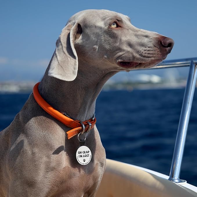 MYLUCKYTAG Silent Silicone QR Code Dog Tags - Scan QR for Instant Pet Location Alert Email