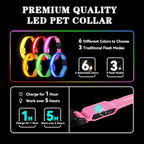 LED Light Up Dog Collar Rechargeable Waterproof, Glow in Dark Dog Collar, Lighted Dog Collars for Night Walking Charging USB, Safety for Small Medium Large Dogs (M, Pink)