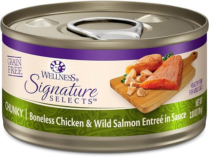 Hotspot Wellness Grain Free Wet Cat Food Variety Bundle - 4 Flavors Pack (12 Cans) With Bowl: Chicken, Liver, Salmon & Turkey (2.82oz)