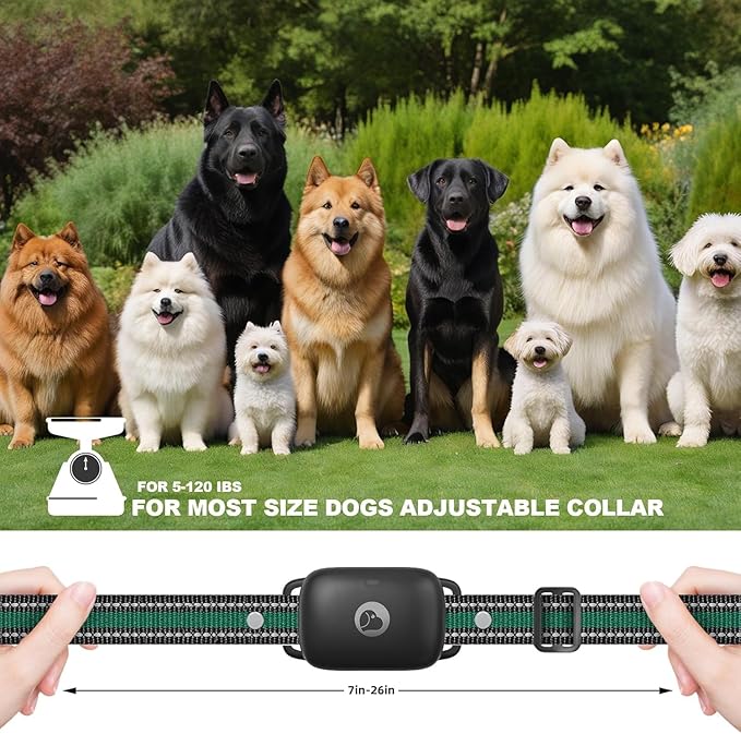 Dog Training Collar 3 Dogs, Dog Shock Collar with Remote - 2600Ft Range, Rechargeable Waterproof Electric Dog Collar, 3 Training Modes (Vibration, Beep, Shock) for E-Shock Collar（Black）