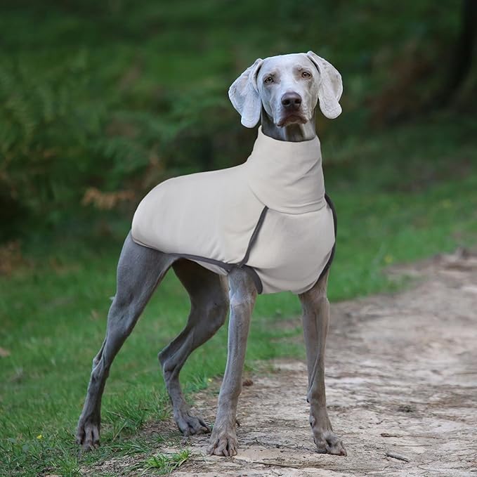 ROZKITCH Dog Winter Coat Soft Pullover Pajamas, Pet Windproof Warm Cold Weather Jacket Vest Cozy Onesie Jumpsuit Apparel Outfit Clothes for Small Medium Large Dogs Walking Sleep Grey M