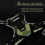 rabbitgoo Dog Harness No Pull with 2 Leash Clips, Adjustable Soft Padded, Reflective Oxford No Choke Pet Vest with Easy Control Handle for Large Dogs, Green Mountain,XS