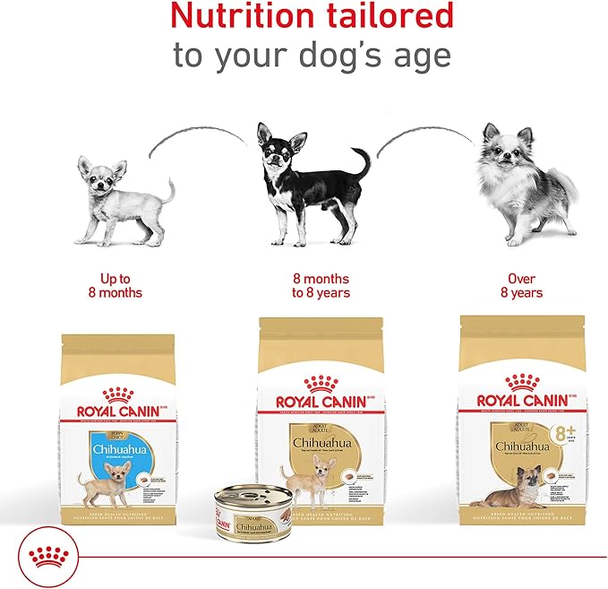 Royal Canin Chihuahua Adult Dry Dog Food, 10 lb bag