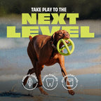 Benebone Natural Rubber Tug Interactive Dog Toy, Natural Rubber