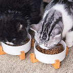 Petygooing Ceramic Dog Cat Bowl Set with Stand, Pet Dog Food and Water Dish,Medium Pet Bowls Anti Slip Set of 2 Cat Bowls-White Pet Food Bowl- Small Medium Size Pet (28 OZ /3.6 Cups)