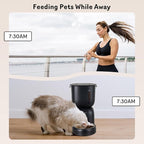 Automatic Cat Feeder and Water Dispenser FW1, Wire or Battery Cat Food Dispenser Timer Pet Feeder - Locking Lid, Desiccant Bag, Programmable Portion Control, 4 Daily Meals, 10s Voice Recorder