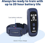 PetSafe Pro Dog Trainer with Remote – Waterproof Training Collar – 1000 ft Range – Tone, Vibration and 19 Levels of Static - Add-A-Dog Compatible – Sleek Remote Training Collar