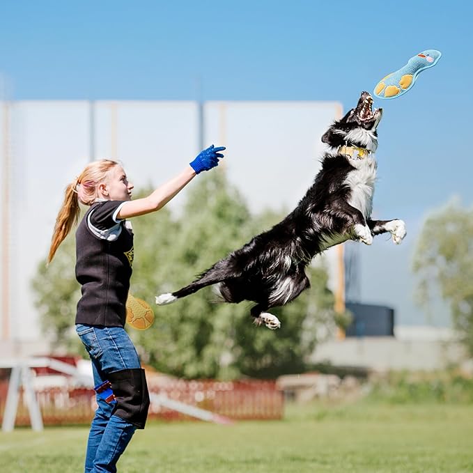 Nocciola Duck Squeaky Dog Toy, New 2025 Indestructible Dog Toy for Aggressive Chewers, Stuffed Toy with Two Tough Layers, Soft Minky Plush for Comfort and Chewing, Blue