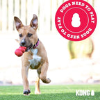 KONG Wobbler - Interactive Dog Toy for Treat Dispensing - Dog Slow Feeder for Healthy Eating - for Medium/Small Dogs