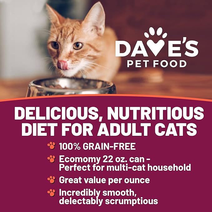Dave's Pet Food Grain Free Wet Cat Food Pate (Chicken), Made in USA Naturally Healthy, Economy Size, Multi-Cat Families, Canned, 22 oz Cans (12 Pack)